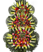 3ȭȯ